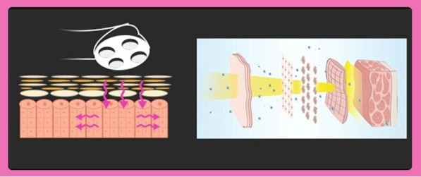 máy nâng cơ xóa nhăn kd 7702